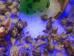 -元素自助餐厅·生蚝·海鲜·刺身(萝岗汇华希尔顿逸林酒店)
