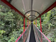 -七仙岭温泉国家森林公园