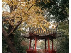 -秋霞圃