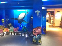 门面-船奇蒸汽海鲜·闽菜(八市海鲜总店)