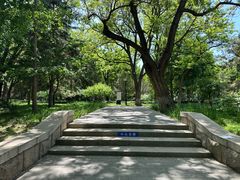 -玲珑塔公园