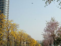 -洲头咀公园