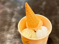 -野人先生Gelato(上海长宁龙之梦店)