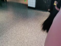 -季季红火锅(新建新城吾悦店)