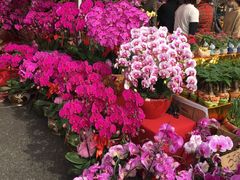 -天河体育中心