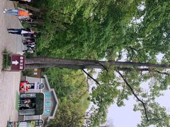 -WeLope紫金山探险公园
