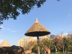 -南昌动物园