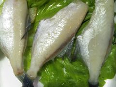 冰衣耗儿鱼-锅说大脸毛肚重庆老火锅(佐阾店)