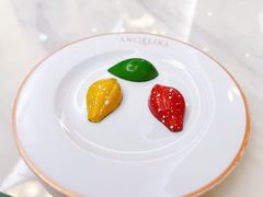 -ANGELINA(IFS国金中心店)