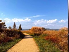 -良渚古城遗址公园