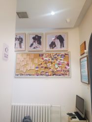 -芭迪高端儿童摄影(精选店)