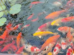 -濮园 · 四合院餐厅