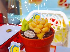 -哈根达斯(龙湖时代天街店)