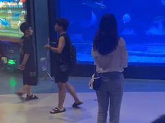 -烟台海昌鲸鲨海洋公园