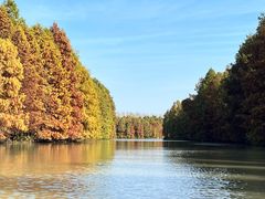 -上海海湾国家森林公园