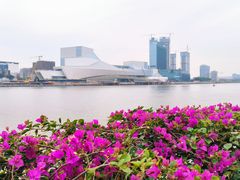 -洲头咀公园