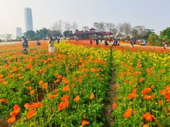 -厦门园林博览苑