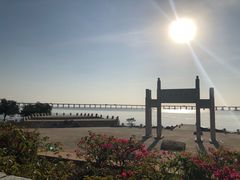 -宝安西湾红树林湿地公园