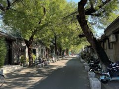 -北京国子监胡同