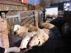 -意大利农场度假村