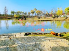 -祥源·阜阳生态乐园