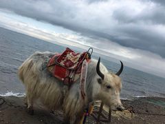 -青海湖国家重点风景名胜区