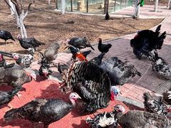 -水上乐园·欢乐世界