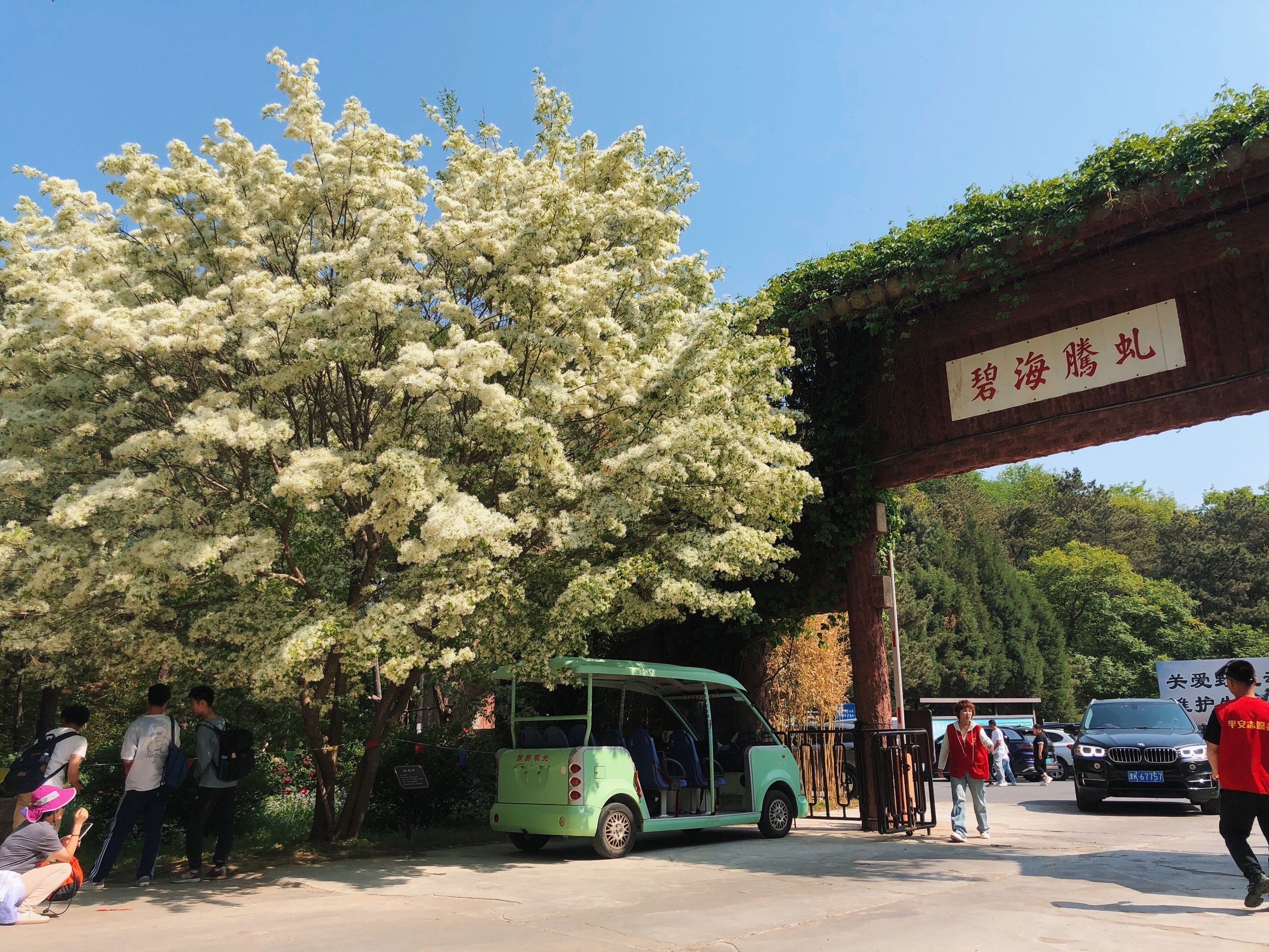 蓟县九龙山,一座天津周边的森林公园