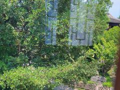 -苏城小院·园林精致苏州菜(斜塘老街店)