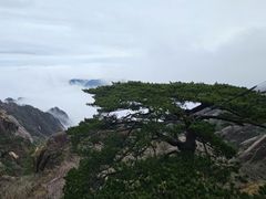 -黄山风景区