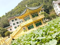 -地心探险极地
