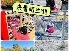 -北京动物园