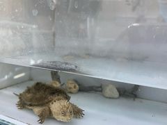 -同步齿科·数字化正畸种植口腔中心(珠海店)