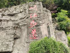 -铁山坪森林公园