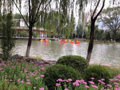 -西宁市人民公园(城西区)