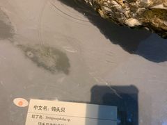 -天津自然博物馆