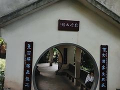 -重庆彩云湖湿地公园