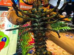 -79号渔船海鲜饭店(华强北店)