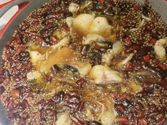 -雲蜀龙阁·金牌水煮鱼(方庄店)