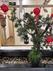 -芳朵美容养生SPA