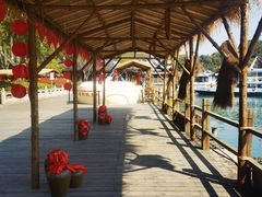 -天目湖山水园