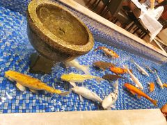-盆满钵满·国家非遗传承(云台店)