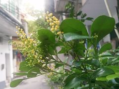 -盒马鲜生(曜一城店)