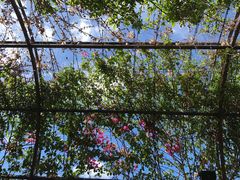 -The Grounds of Alexandria