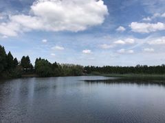 -溱湖国家湿地公园