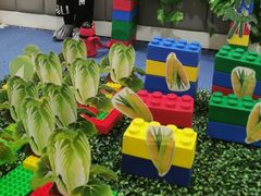 -哈奋儿童科技营乐高托班机器人(闲林校区)