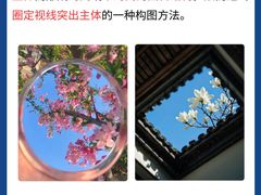 -CGWANG王氏教育(上海校区)