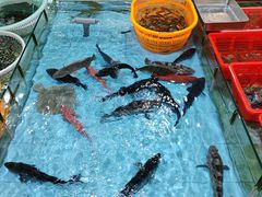 -隆都四季香饭店(碧海路店)