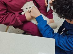 -瑞派康怡24h宠物医院·犬猫医疗中心·微创绝育(瑞景分院)