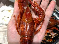 清蒸虾皇-李叔叔虾蟹大排档(青羊店)